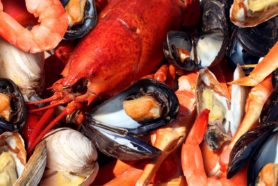 Shellfish Allergy List: Everything You Need to Know - Food Sensitivity Hub